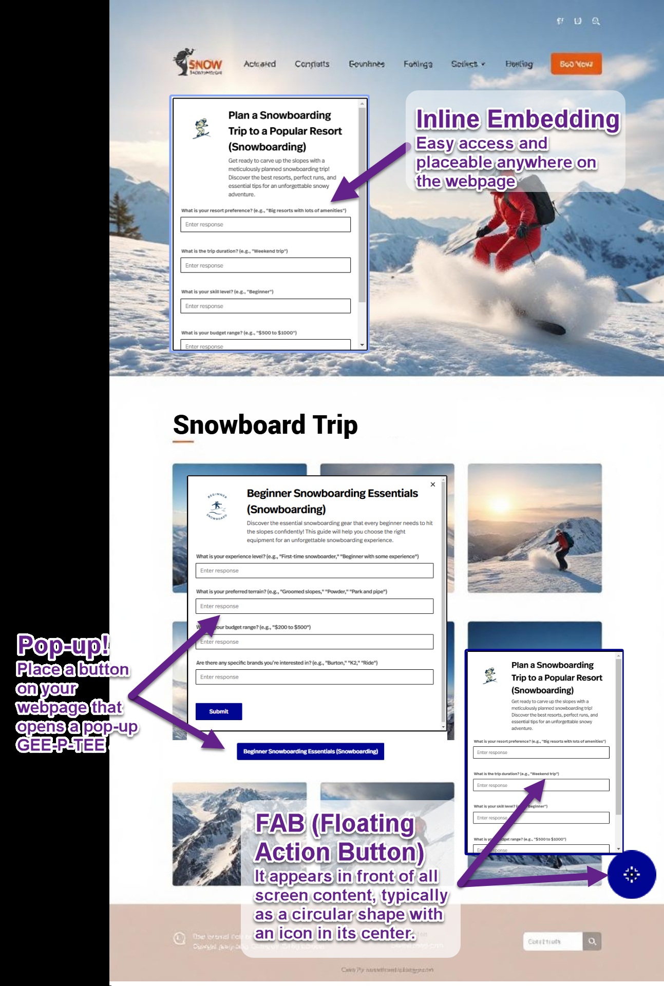 Embed Options